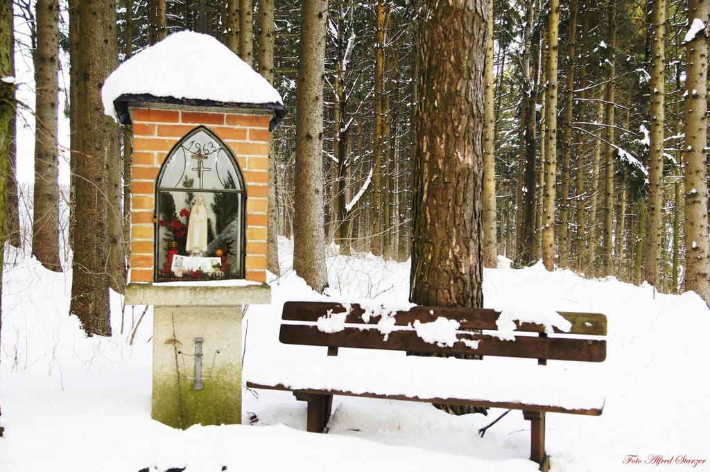 Bio-Bauernhof Haunschmid Villa Ardagger Markt Exterior foto
